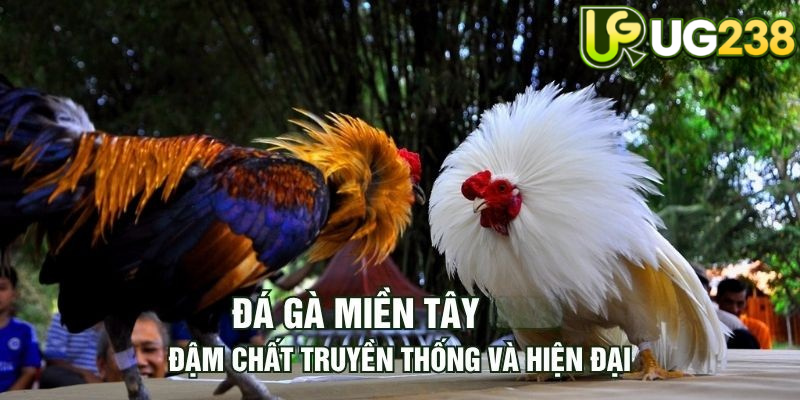 Tin tức