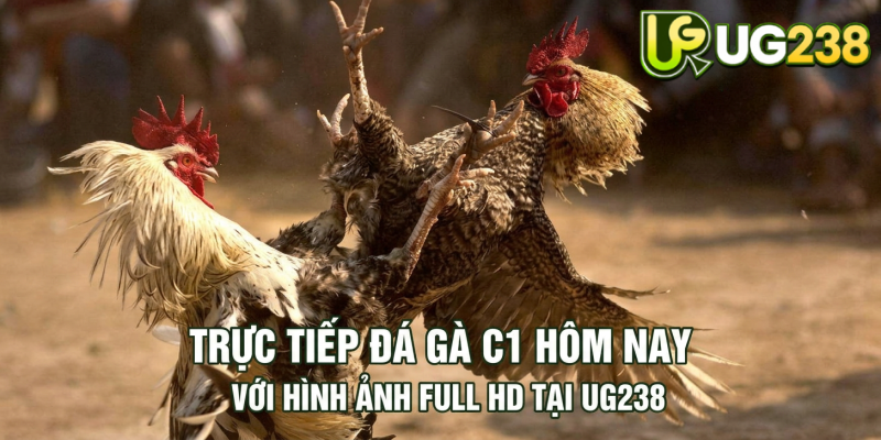 Tin tức